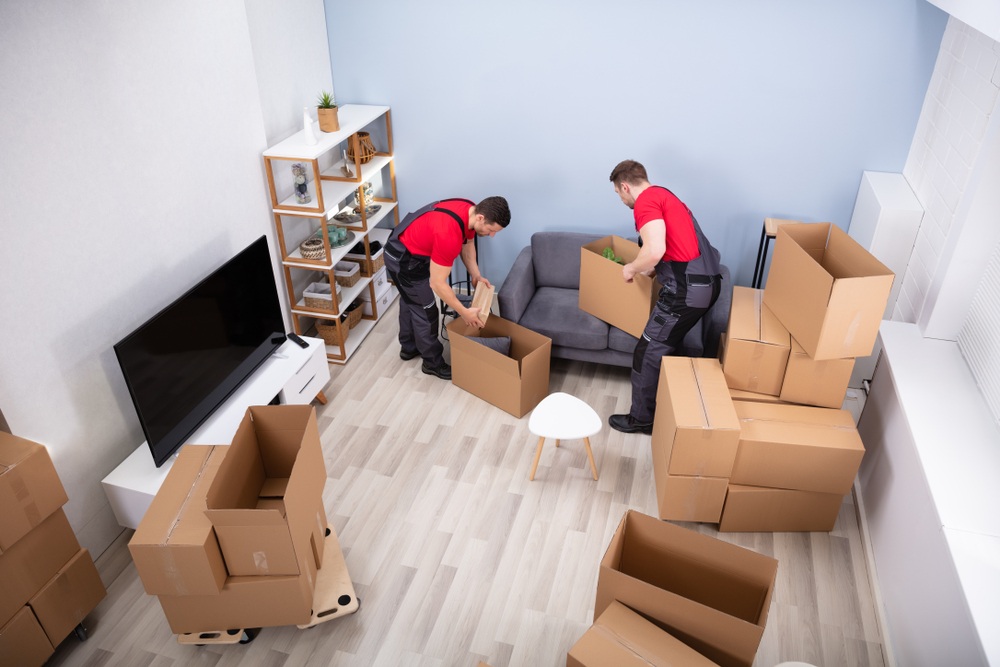Apartment Moving Services
